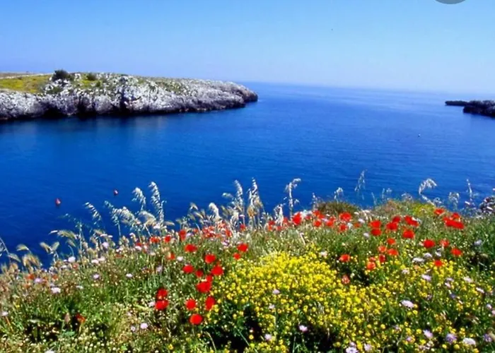 Dimora Cinzia